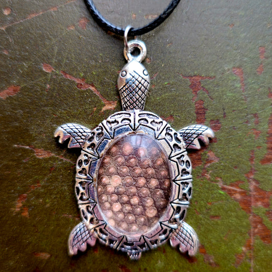 "Professor Chaos" the Savannah Monitor Shed Skin Necklace