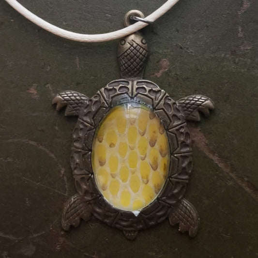 "Lemonade" the Lemon Ratsnake Shed Skin Necklace