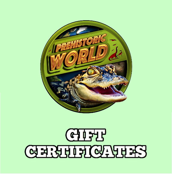 Prehistoric World Gift Certificate